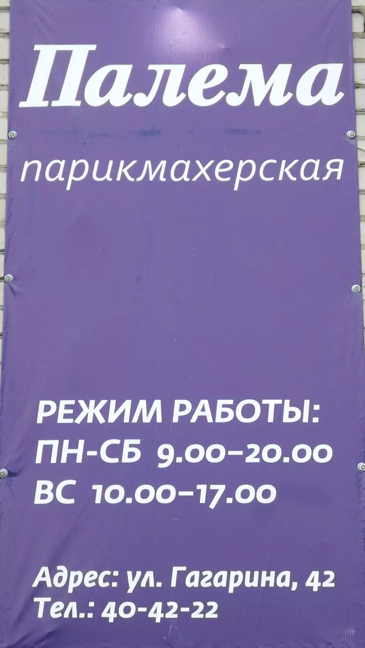 Палема в Архангельске, ул. Гагарина, 42 - фото, отзывы 2024, рейтинг,  телефон и адрес