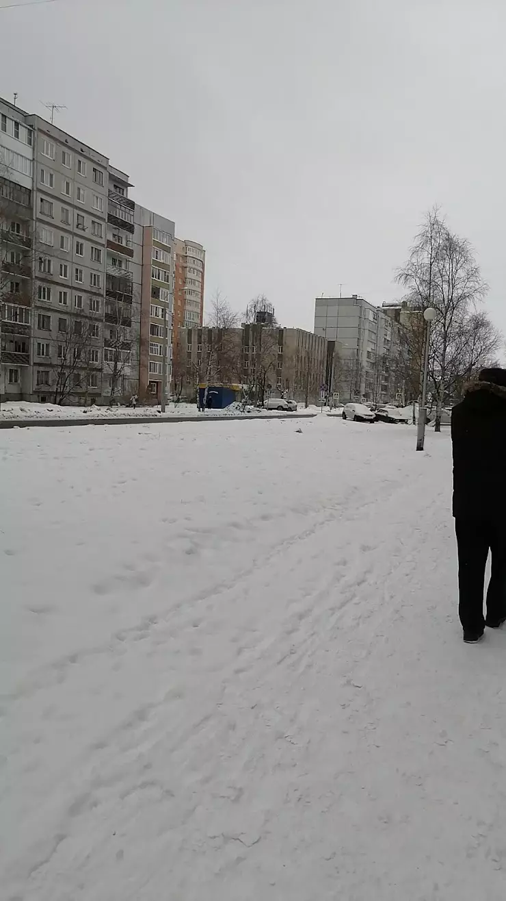 Главное бюро медико-социальной экспертизы по Архангельской области в  Архангельске, просп. Новгородский, 160 - фото, отзывы 2024, рейтинг, телефон  и адрес