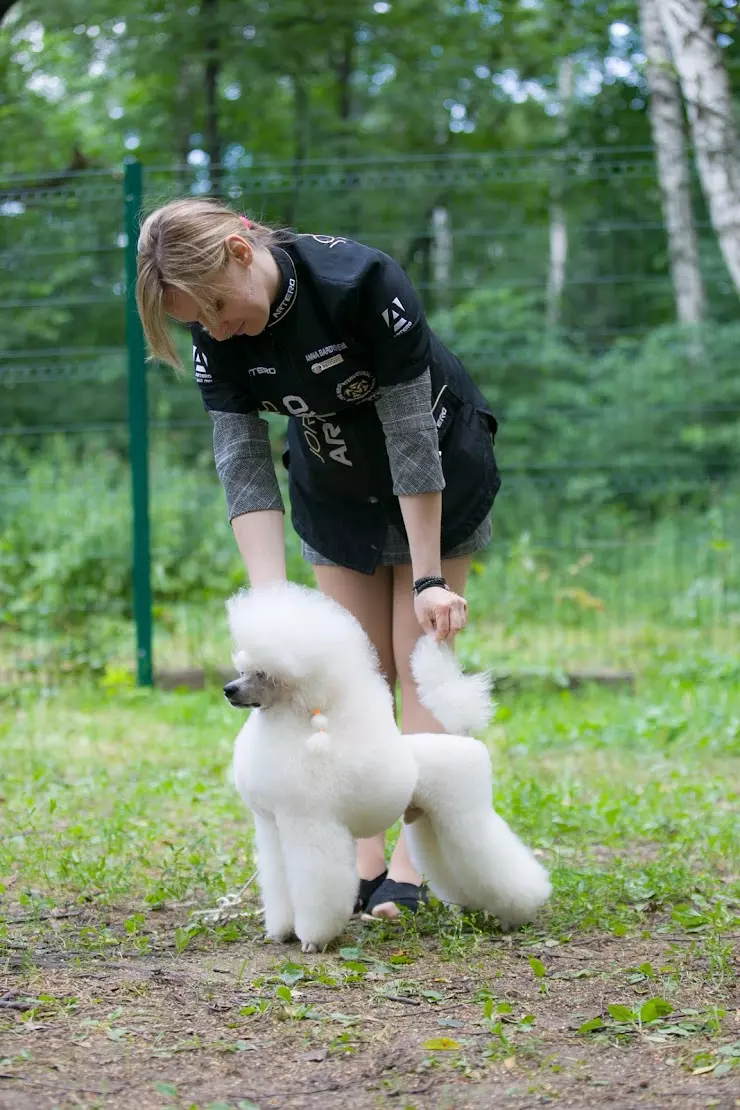 Berry Grooming, Груминг-студия в Москве, ул. Вавилова, 97 - фото, отзывы  2024, рейтинг, телефон и адрес