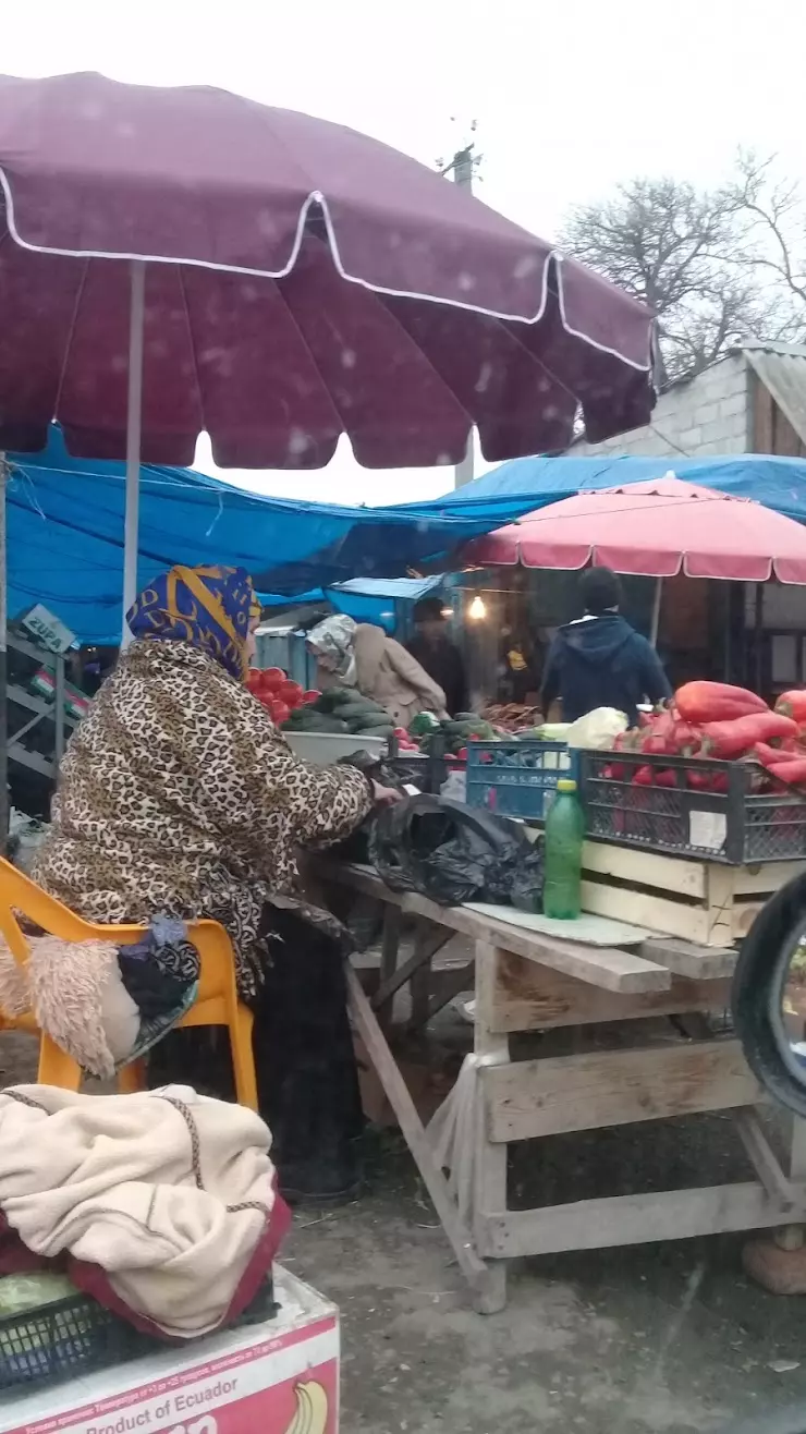 Слепцовск , Рынок в Сунже, Выгонная ул. - фото, отзывы 2024, рейтинг,  телефон и адрес