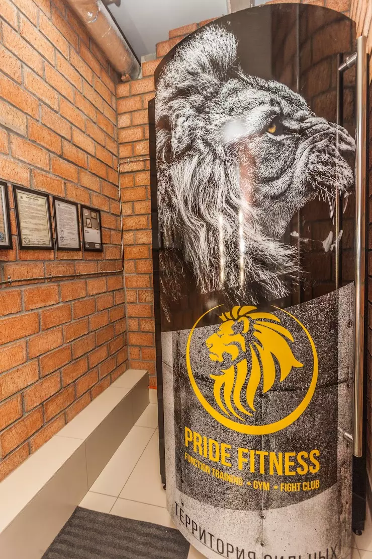 Фитнес-клуб Pride Fitness в Владимире, Электрозаводская, 2, ул.  Тихонравова, 10Б - фото, отзывы 2024, рейтинг, телефон и адрес