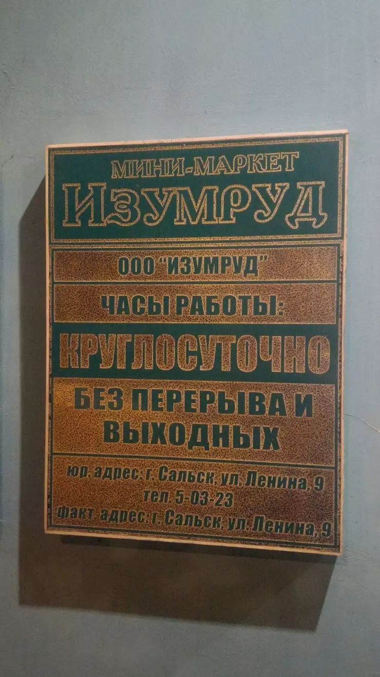 Изумруд в Сальске, ул. Ленина, 9 - фото, отзывы 2024, рейтинг, телефон и  адрес