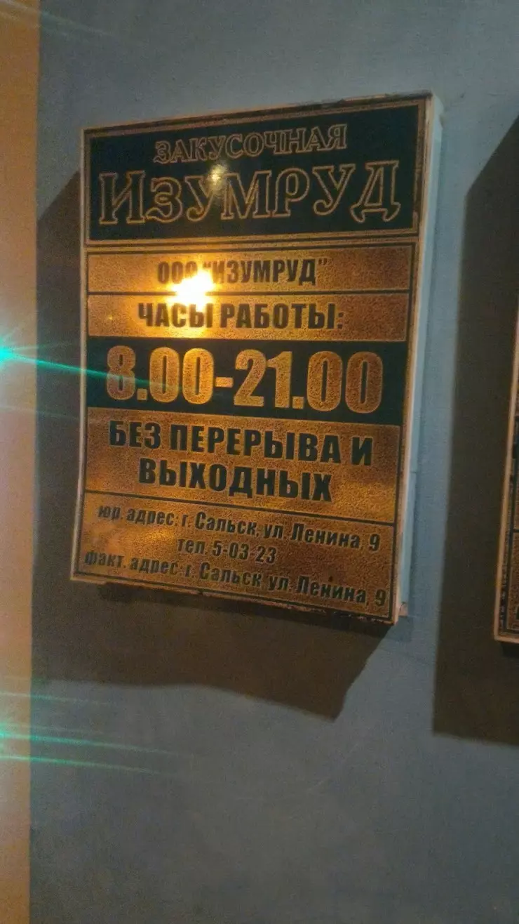 Изумруд в Сальске, ул. Ленина, 9 - фото, отзывы 2024, рейтинг, телефон и  адрес