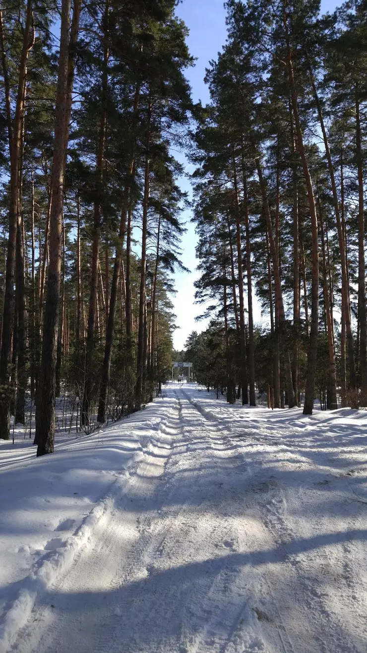 Пионерский лагерь 