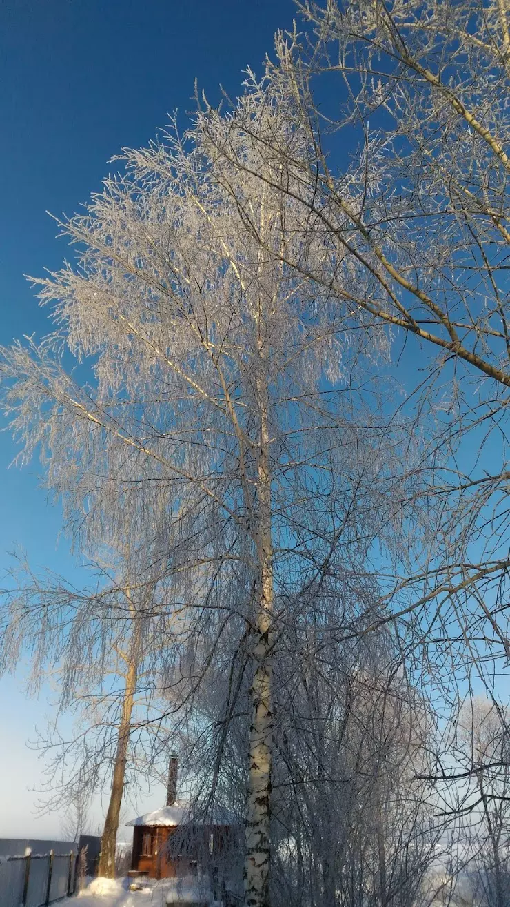 Южная Бухта в Чайковском - фото, отзывы 2024, рейтинг, телефон и адрес