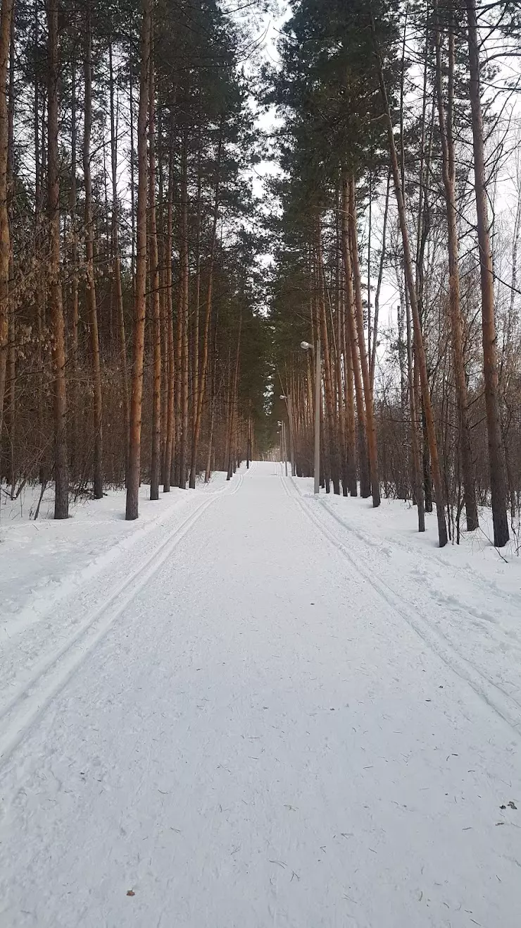 Лыжная база в Ишимбае, 1к1, Лесной пр-д, 1 корпус 1 - фото, отзывы 2024,  рейтинг, телефон и адрес