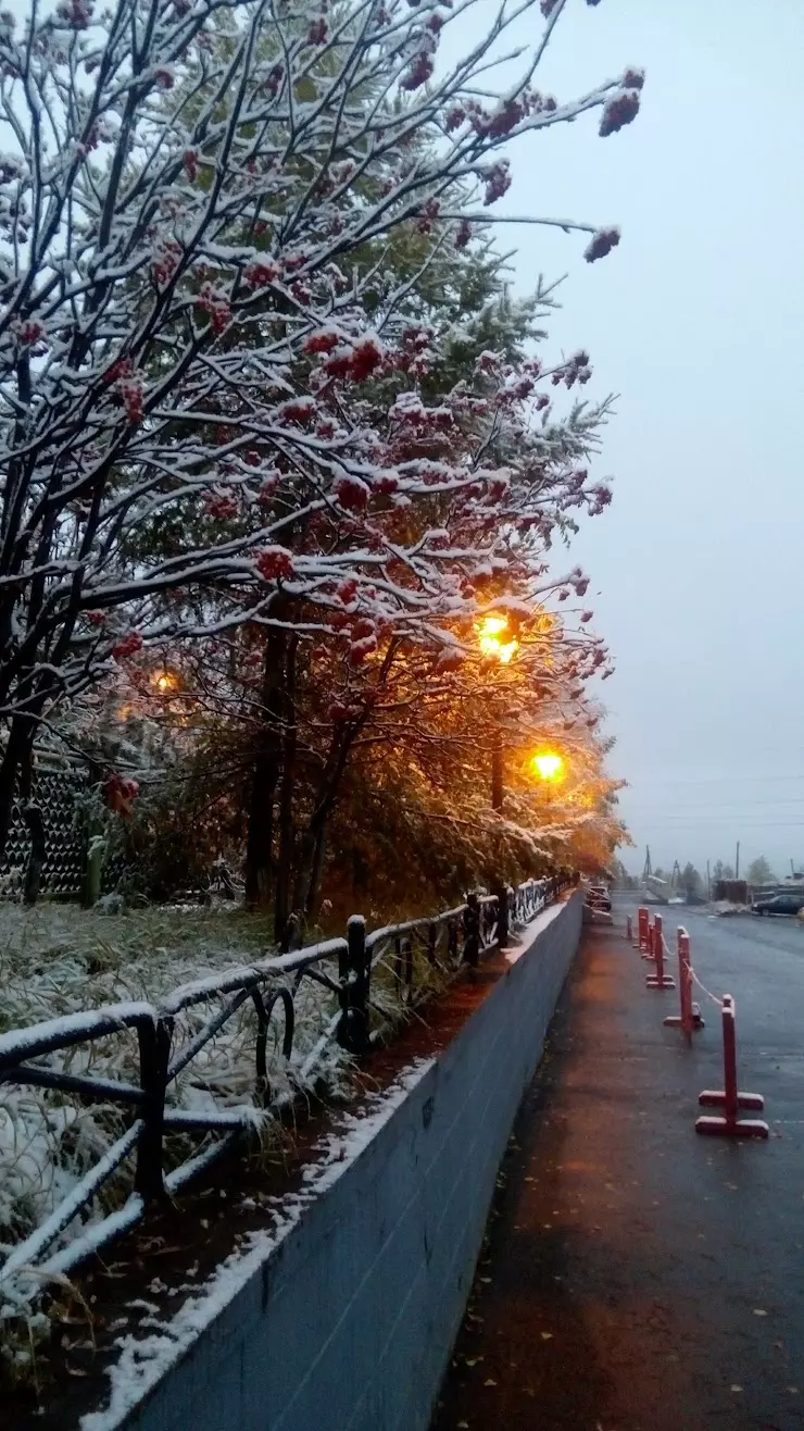 Территориальный отдел Управления Роспотребнадзора по Иркутской области в г.  Братске и Братском районе в Братске, ул. Муханова, 20 - фото, отзывы 2024,  рейтинг, телефон и адрес