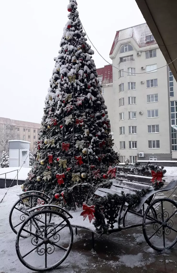 Ставропольский Дворец детского творчества в Ставрополе, ул. Ленина, 292 -  фото, отзывы 2024, рейтинг, телефон и адрес