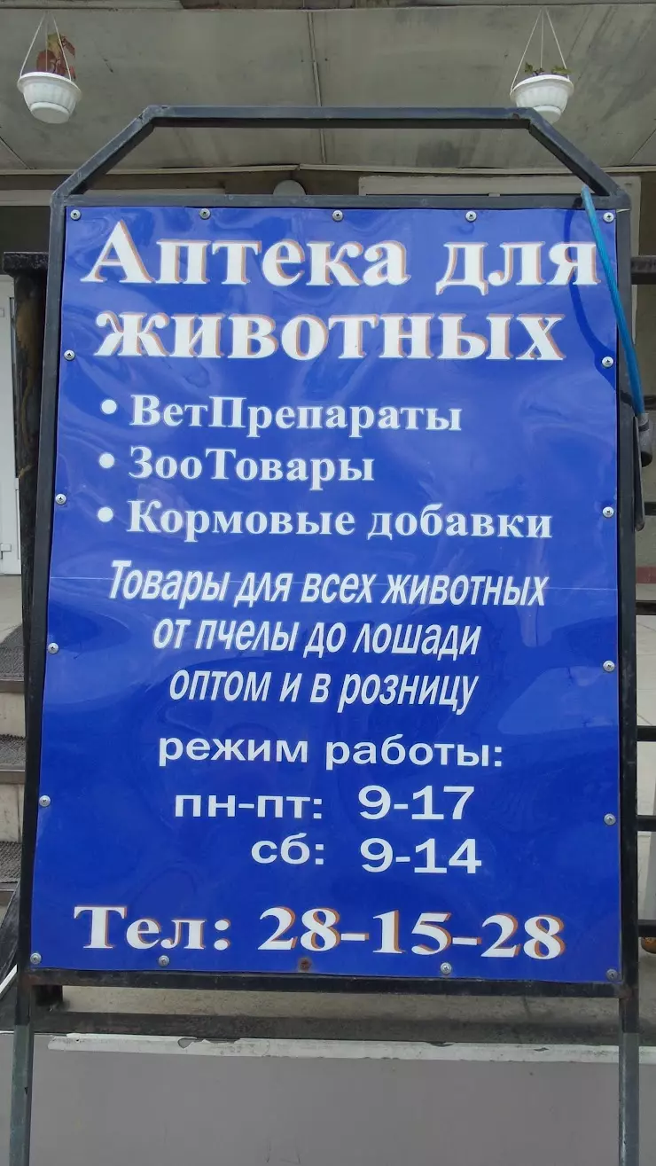 Аптека для животных в Кемерово, просп. Кузнецкий, 83 - фото, отзывы 2024,  рейтинг, телефон и адрес