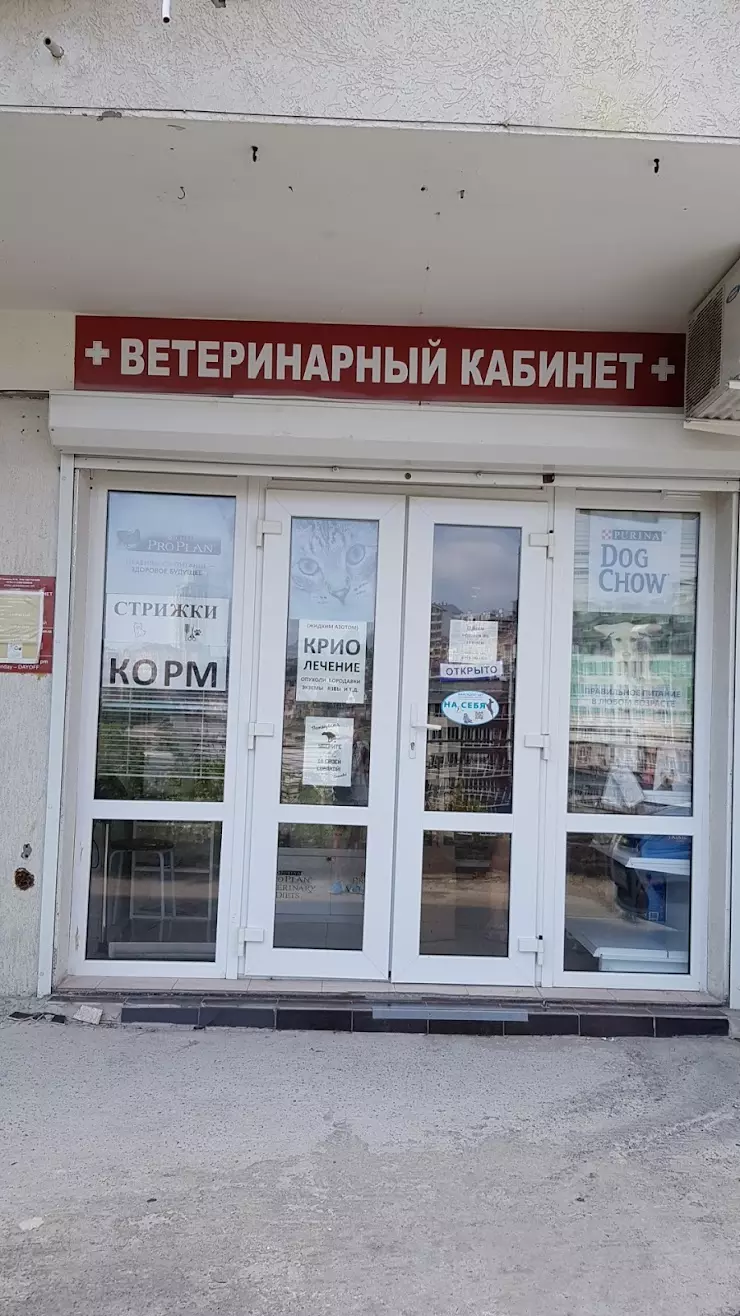 Ветеринарная клиника MyVet в Сочи, ул. Клубничная, 14/6 - фото, отзывы  2024, рейтинг, телефон и адрес