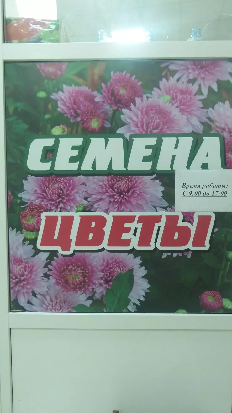 ООО «Защита АгроСоюз» в Курске, МАГАЗИН «Панова», ул. Карла Либкнехта, 9-А  - фото, отзывы 2024, рейтинг, телефон и адрес