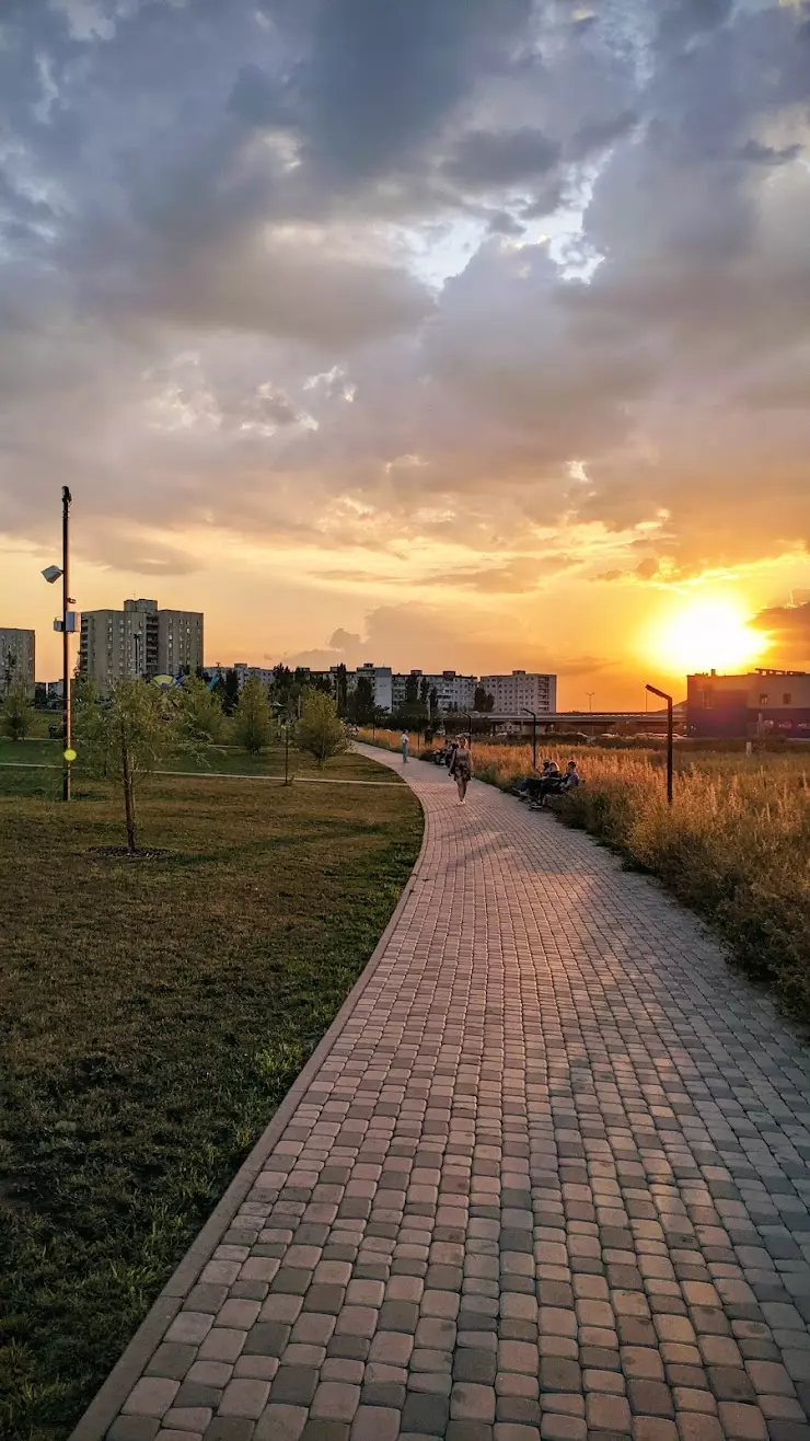 Рекреационная зона Зеленый лог в Старом Осколе, 2 - фото, отзывы 2024,  рейтинг, телефон и адрес