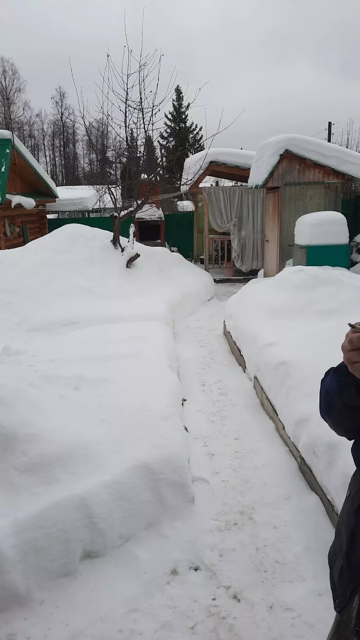 Зеленый мыс в Ижевске, ул. Якшур-Бодьинский тракт, 7 - фото, отзывы 2024,  рейтинг, телефон и адрес