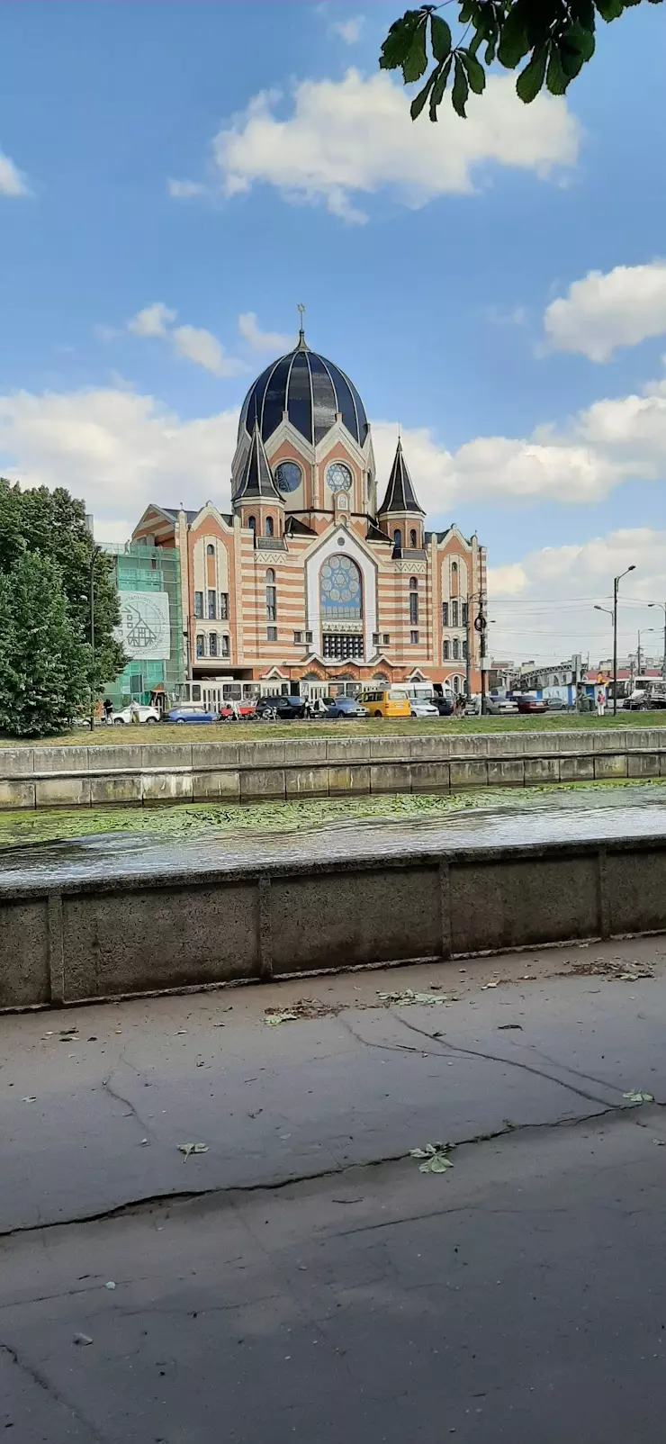 Калининград, Остров Канта (Кнайпхоф). в Калининграде, ул. Канта - фото,  отзывы 2024, рейтинг, телефон и адрес