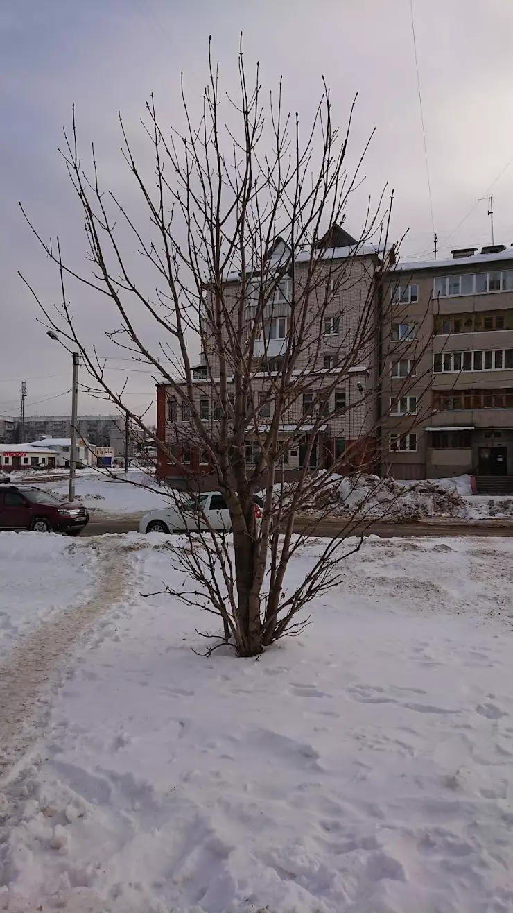 Тсж «Северный» в Йошкар-Оле, ул. Подольских Курсантов, дом 12 - фото,  отзывы 2024, рейтинг, телефон и адрес