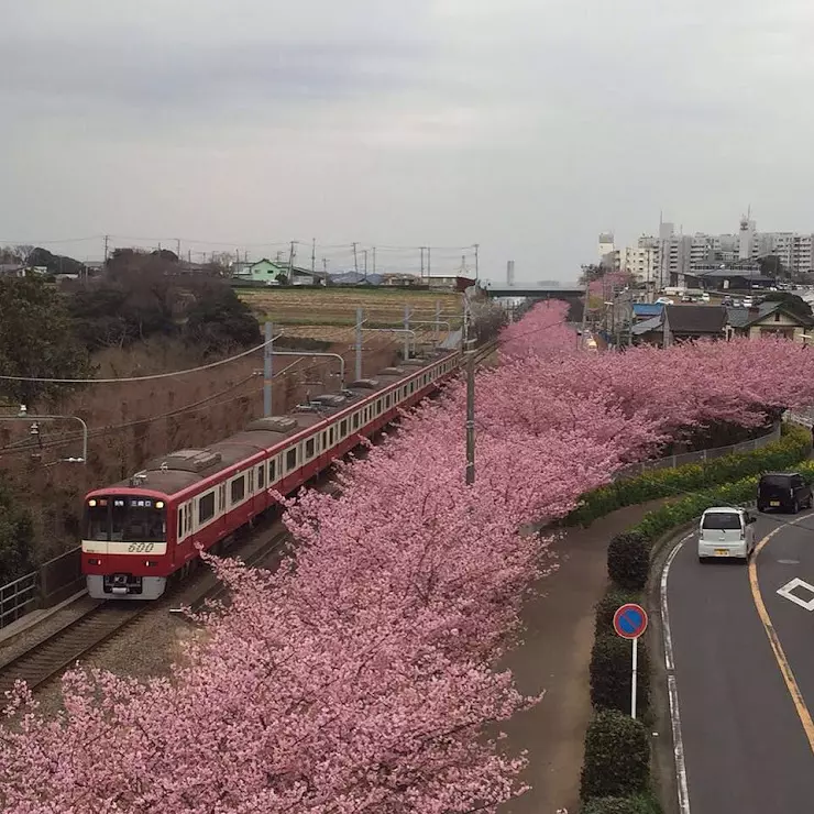 Japan line владивосток. AUTOJAPAN Владивосток. Mirai line Владивосток. MW line Владивосток. Japan auto lines.