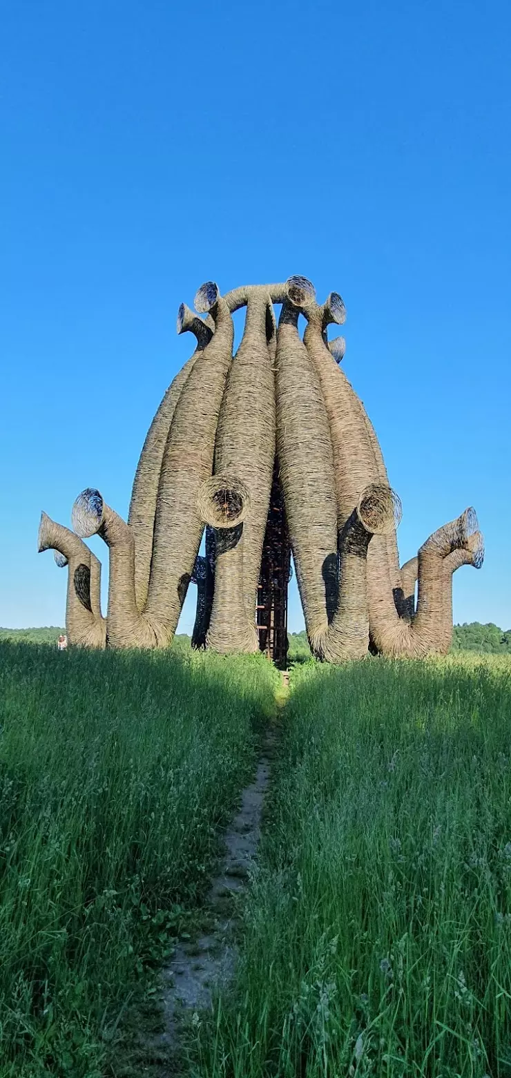 KFC в Калуге, ул. Маршала Жукова, 2 - фото, отзывы 2024, рейтинг, телефон и  адрес