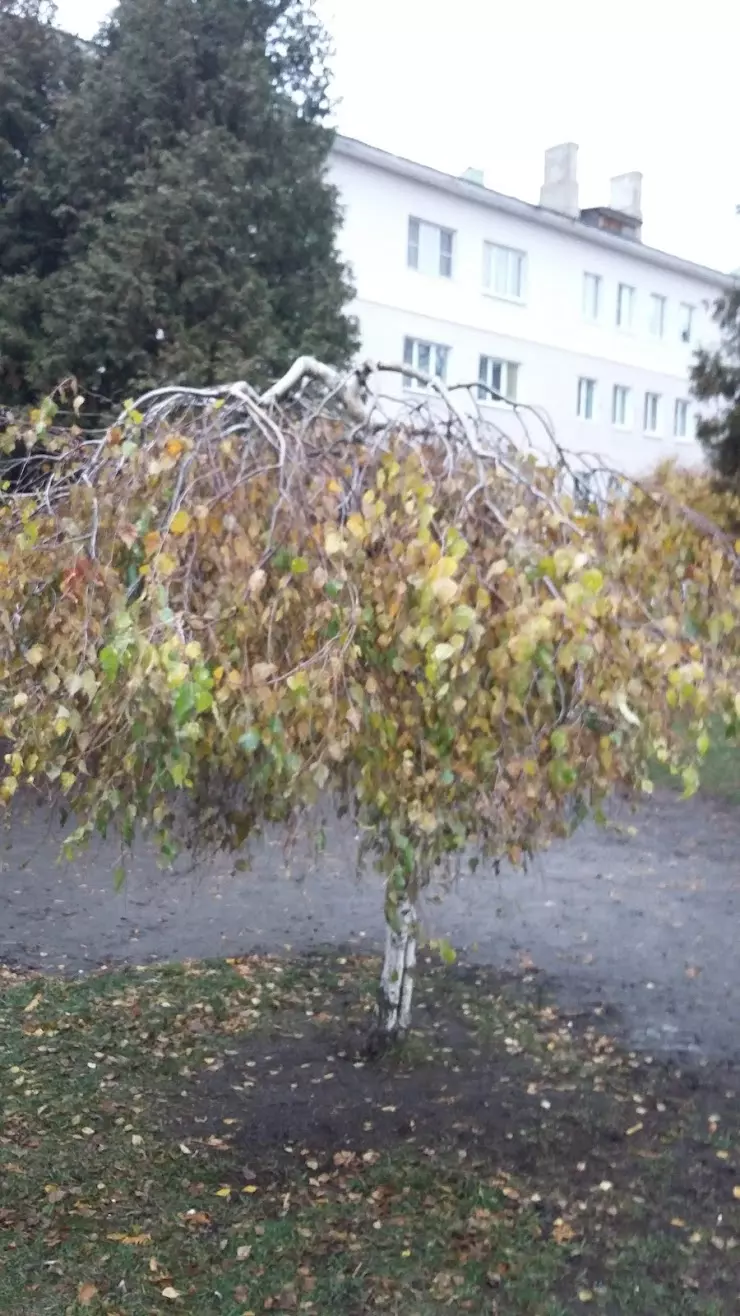 Ротонда в Новомосковске, Комсомольская ул., 38/15 - фото, отзывы 2024,  рейтинг, телефон и адрес