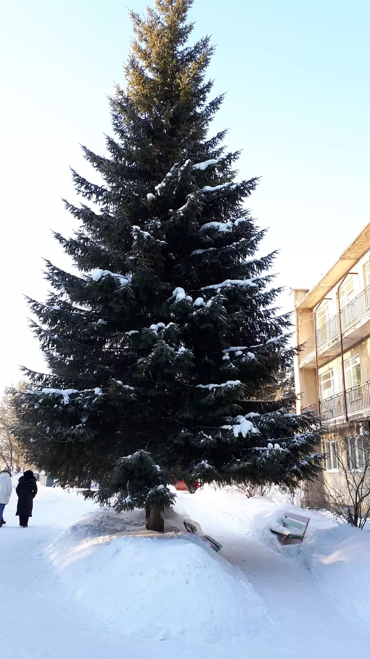 Жилой район Ягуновский. Кемерово в Кемерово, ул. Энтузиастов, 1 - фото,  отзывы 2024, рейтинг, телефон и адрес