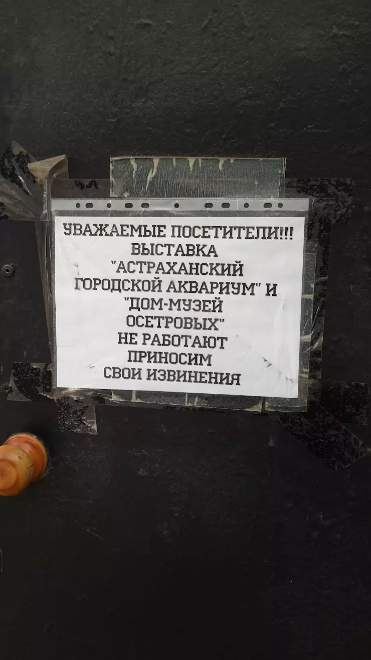 Дом-Музей Осетровых Астрахань в Астрахани, Ахматовская ул., 13 - фото,  отзывы 2024, рейтинг, телефон и адрес