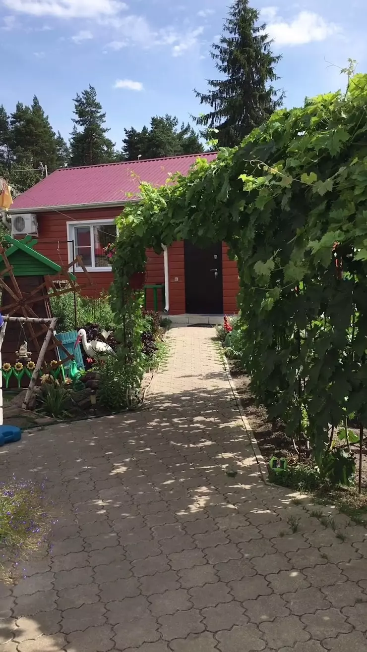 Отдых в Павловске, Воронежской области, отзывы и рейтинги посетителей,  фотографии, контактная информация 2024