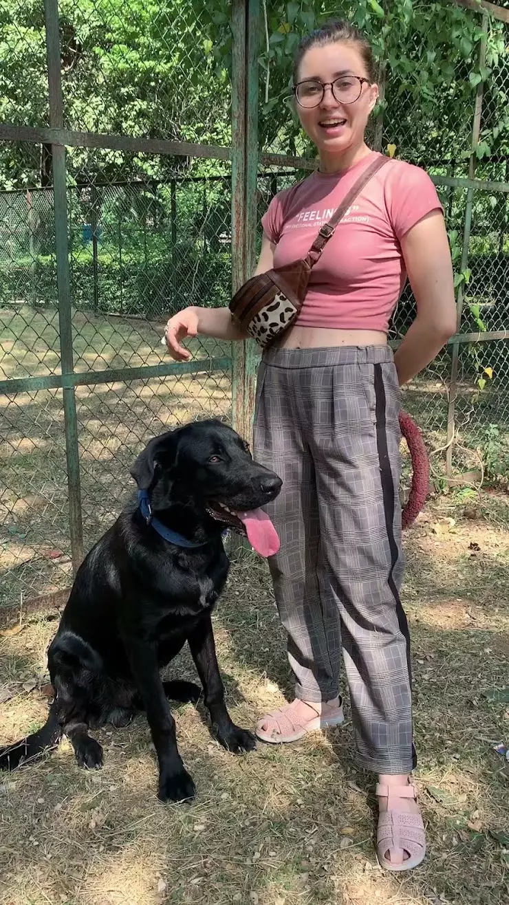 Профессиональная школа дрессировки собак Akita Dog School в Набережных  Челнах, пр-т. Московский, 52 - фото, отзывы 2024, рейтинг, телефон и адрес