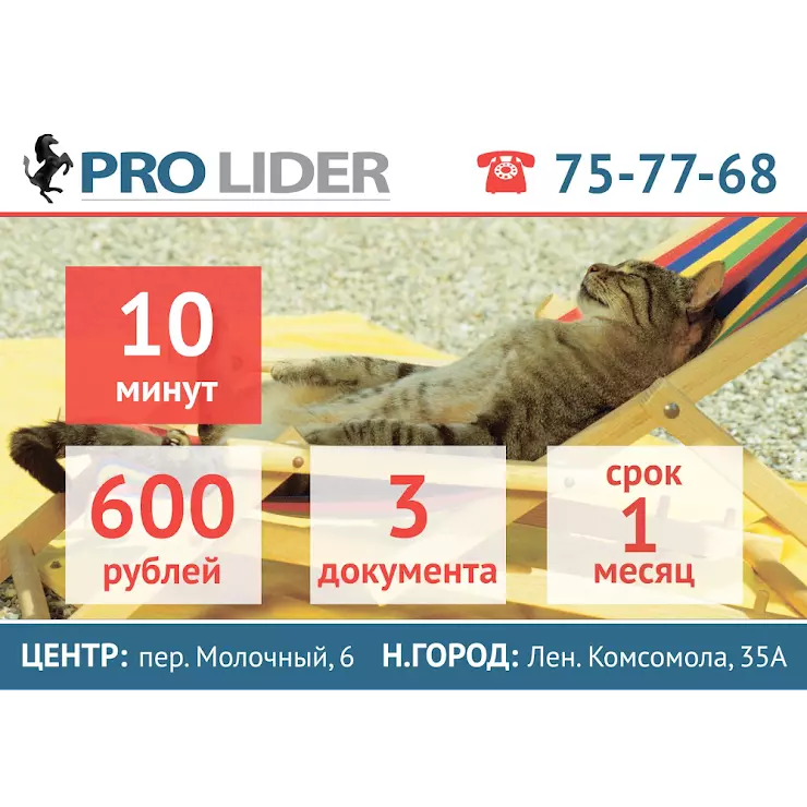 Lider pro. Pro Лидер. Лемакс lider Pro.