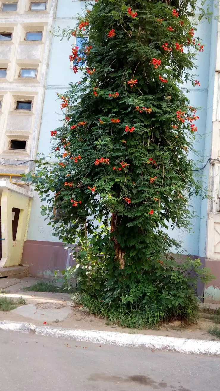 Монолит, Пкб в Астрахани, ул. В. Барсовой, 15, корп. 2 - фото, отзывы 2024,  рейтинг, телефон и адрес