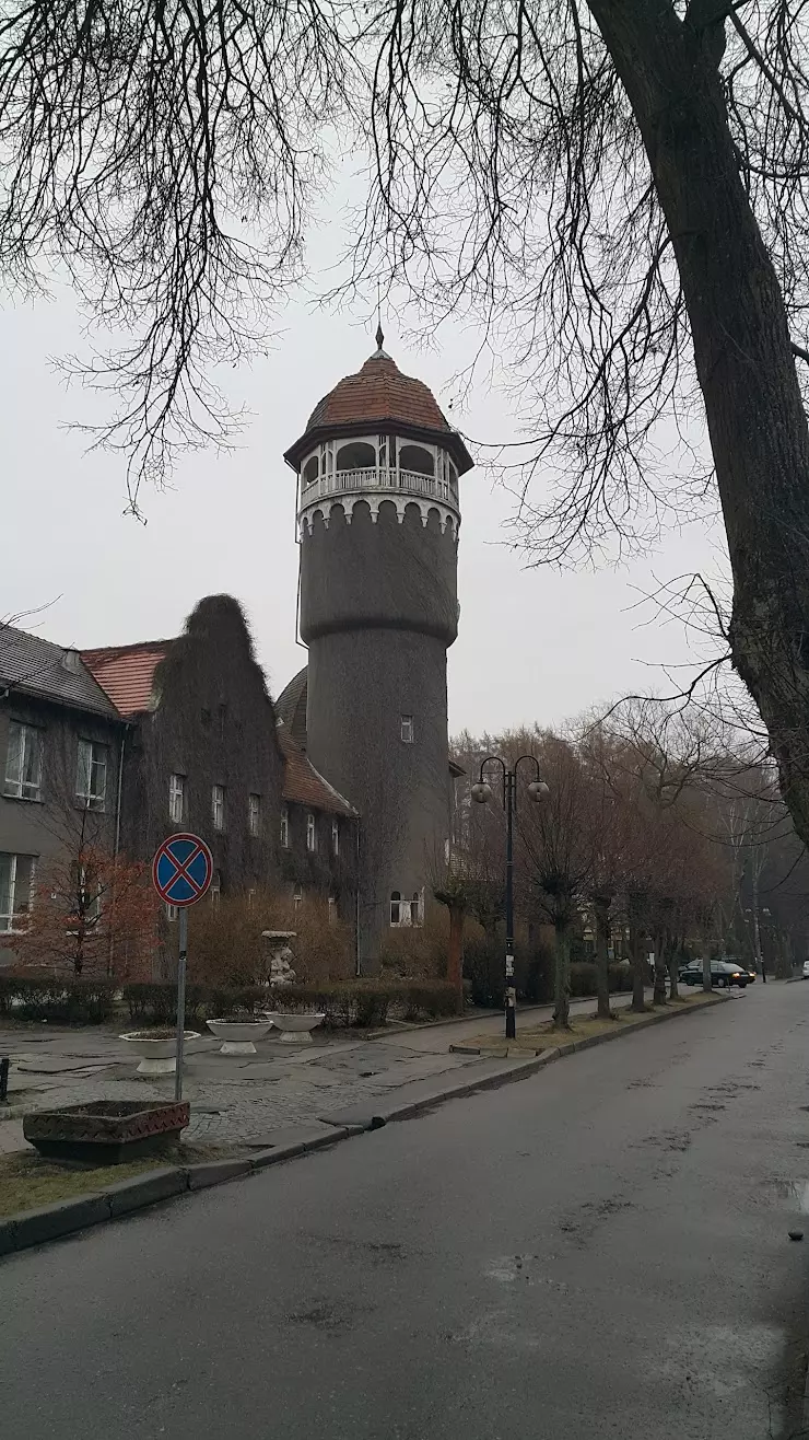 Майский, Детский Санаторий в Светлогорске - фото, отзывы 2024, рейтинг,  телефон и адрес