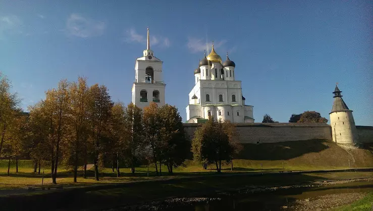 Город псков отдел. Киселева 16 русский город Псков. Город Псков Алексеевская улица. Ул.Киселева г. Псков. Псков город проспект.