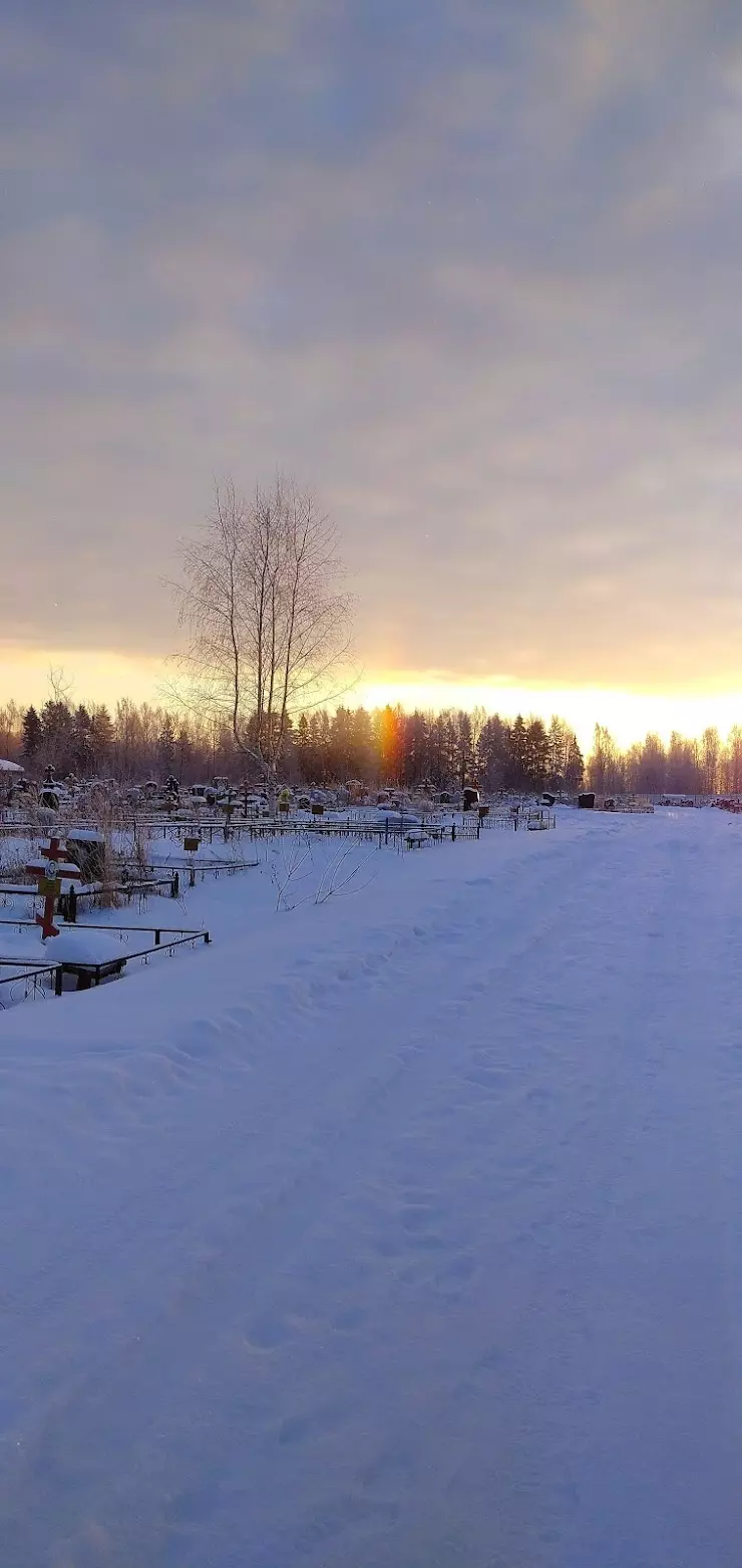 Новое заволжское кладбище в Костроме - фото, отзывы 2024, рейтинг, телефон  и адрес