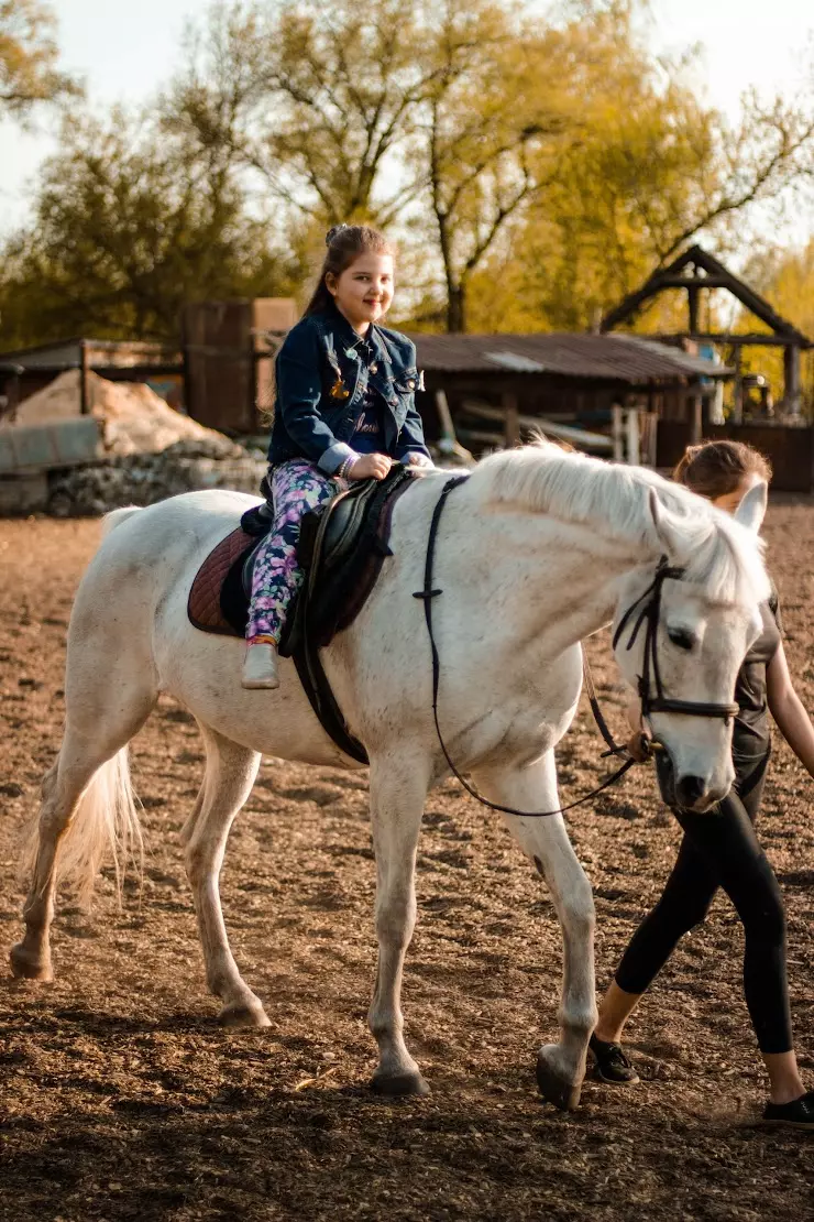 КАЗАЧОК, конноспортивный клуб в Брянске, Нижне-Заречная ул., 2 - фото,  отзывы 2024, рейтинг, телефон и адрес