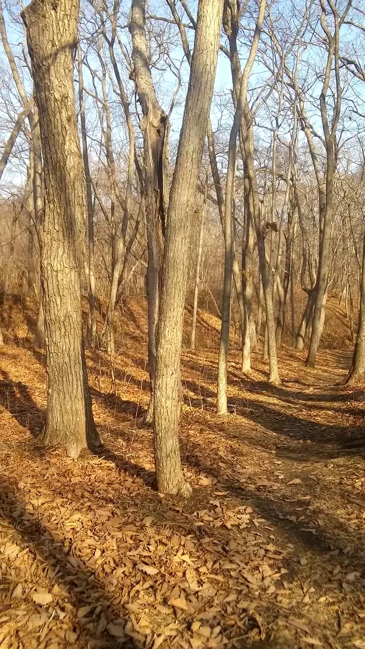 ООО Золотой Дельфин в Владивостоке, Артековская ул., 3 - фото, отзывы 2024,  рейтинг, телефон и адрес