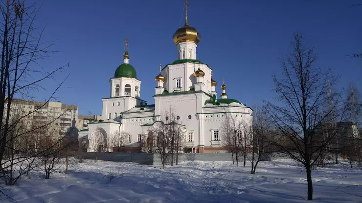 Знаменский собор Тюмень 19 век