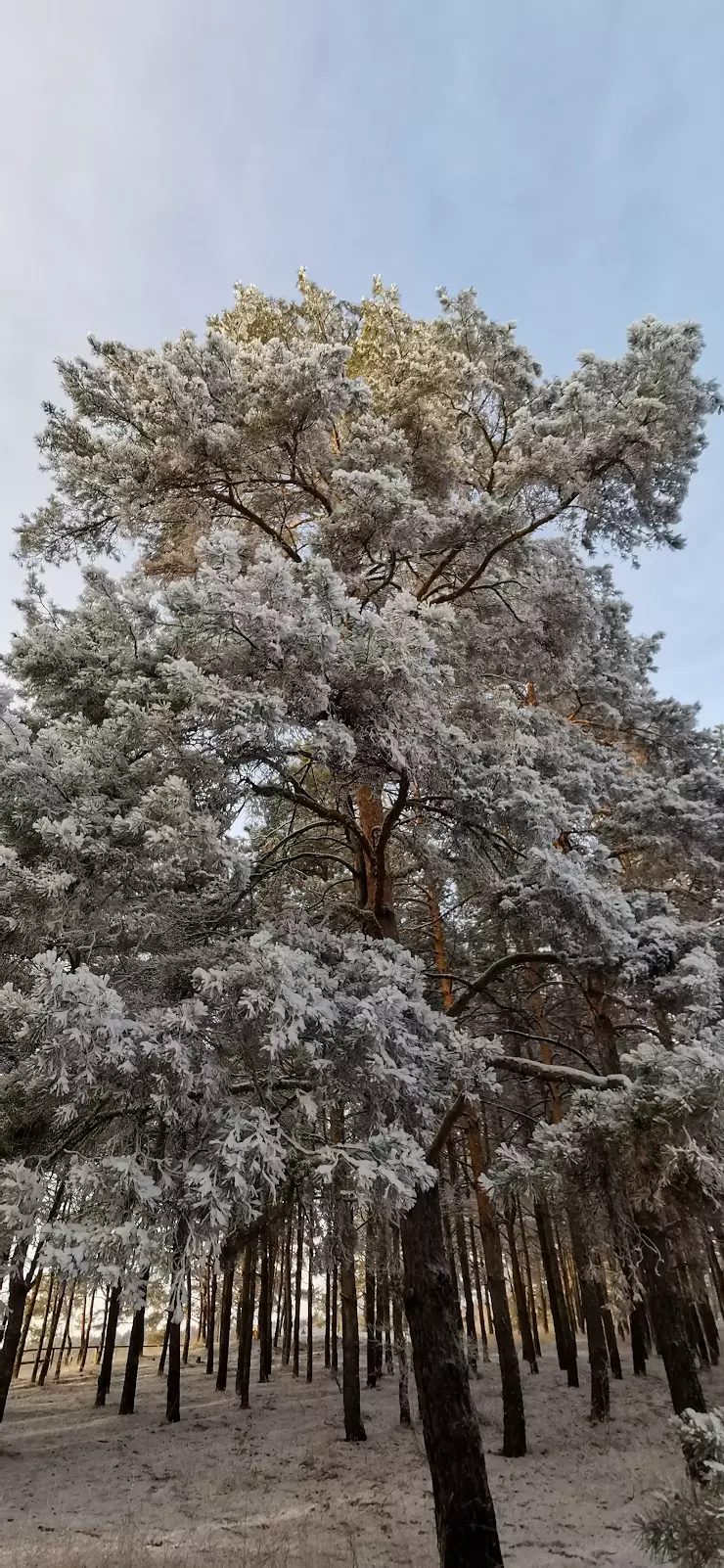 КСК 