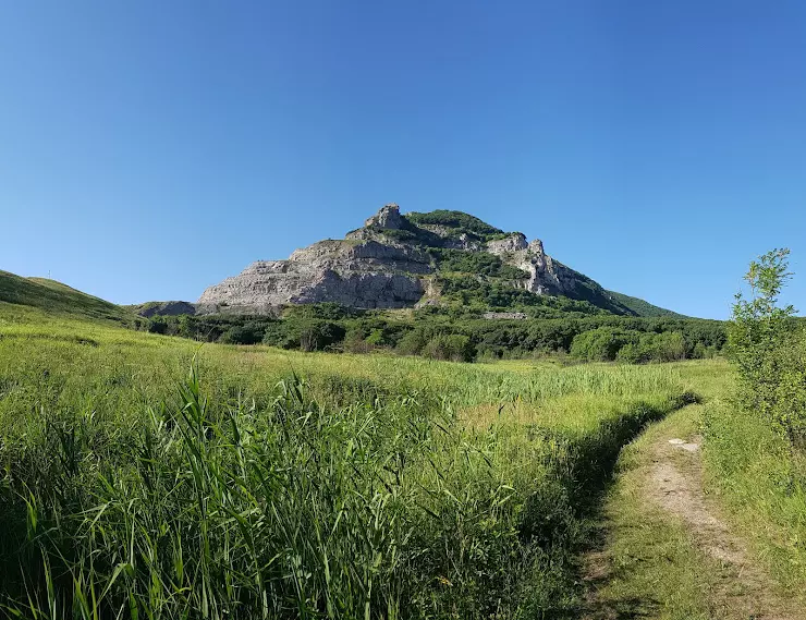 Гора змейка красный Пахарь