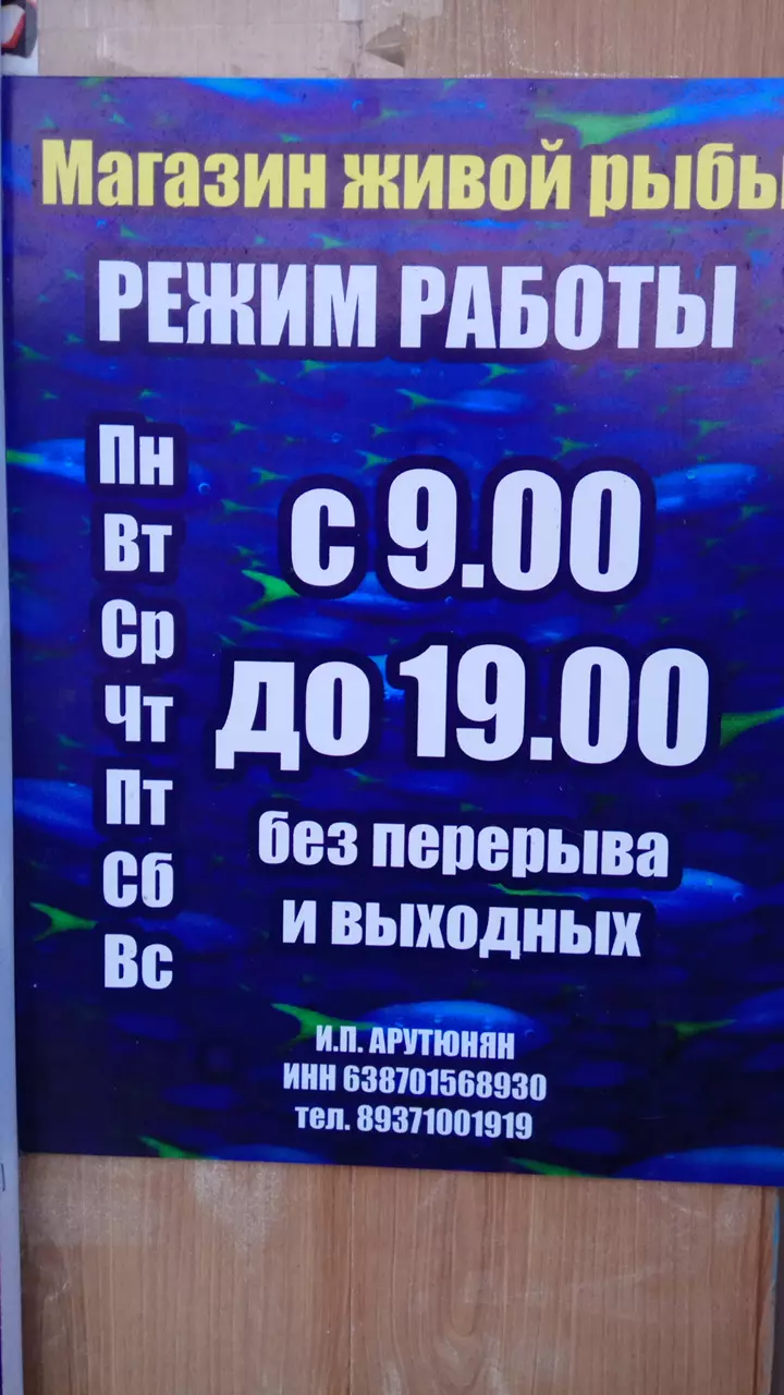 Лада Магазин Автозапчастей ЧП в Сызрани, Ульяновская ул. 37, Сызрань,  Самарская обл., 446001 - фото, отзывы 2024, рейтинг, телефон и адрес