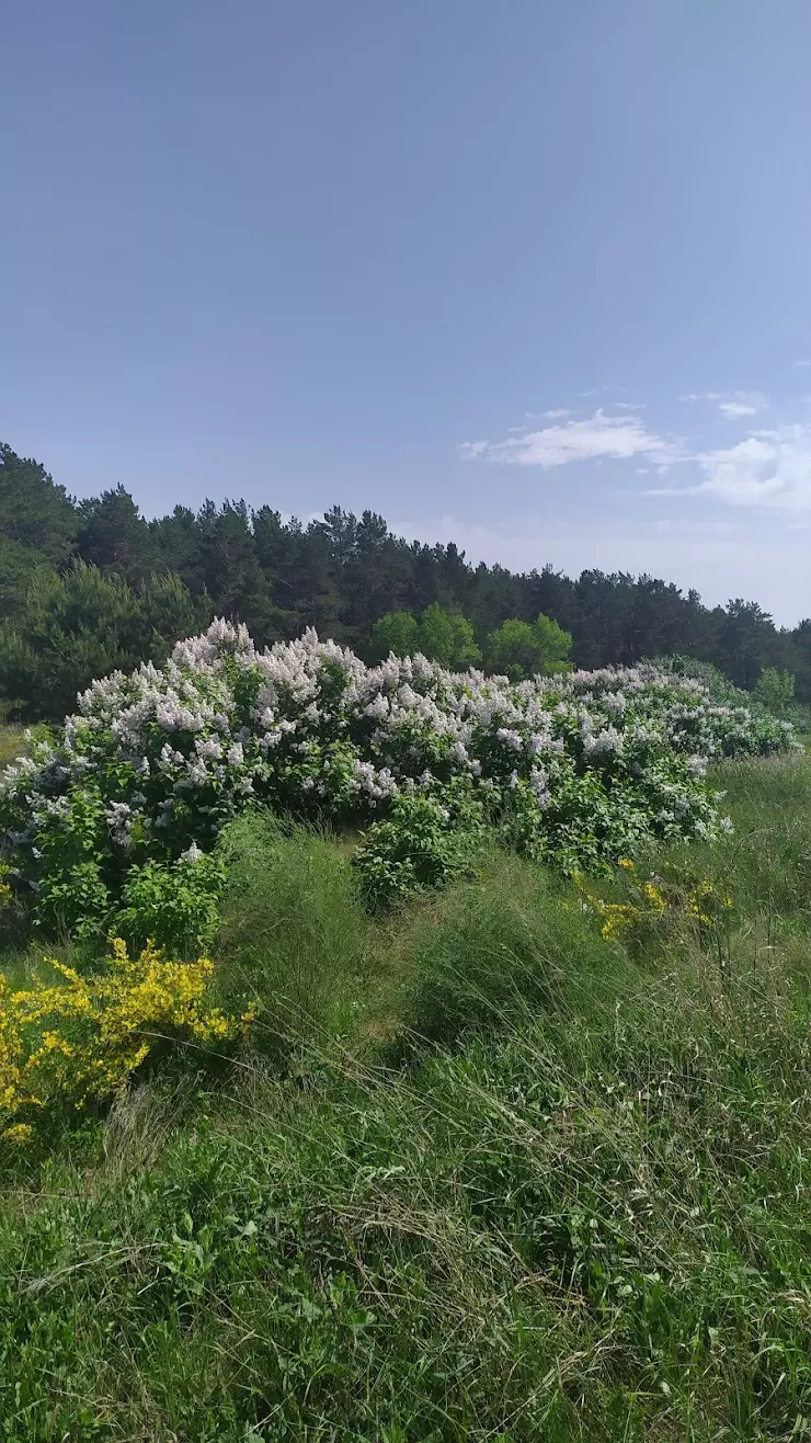 Порт Королевка в Ульяновске - фото, отзывы 2024, рейтинг, телефон и адрес