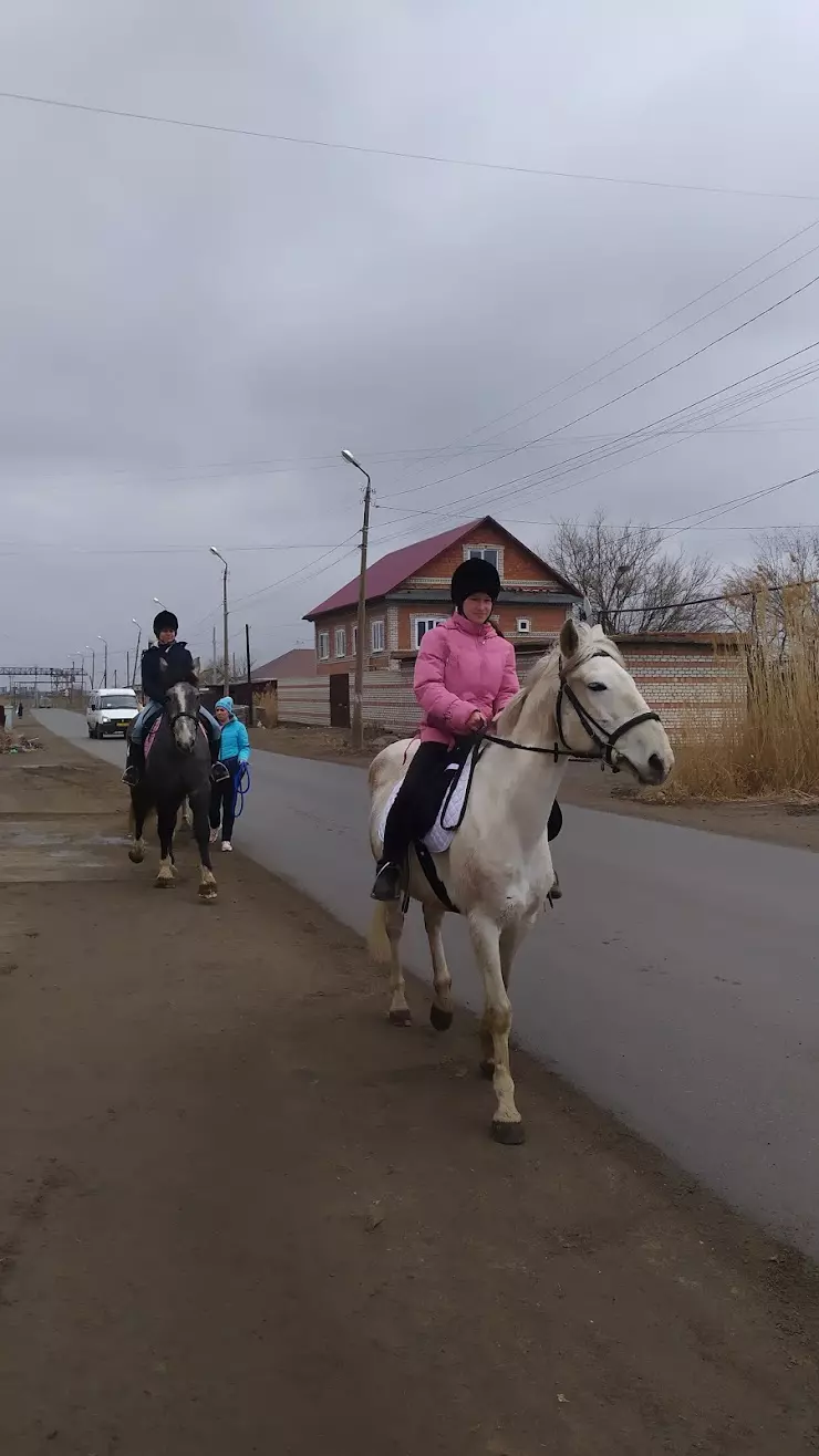 Фаворит, конный клуб в Астрахани, ул. Садовских, 3 - фото, отзывы 2024,  рейтинг, телефон и адрес