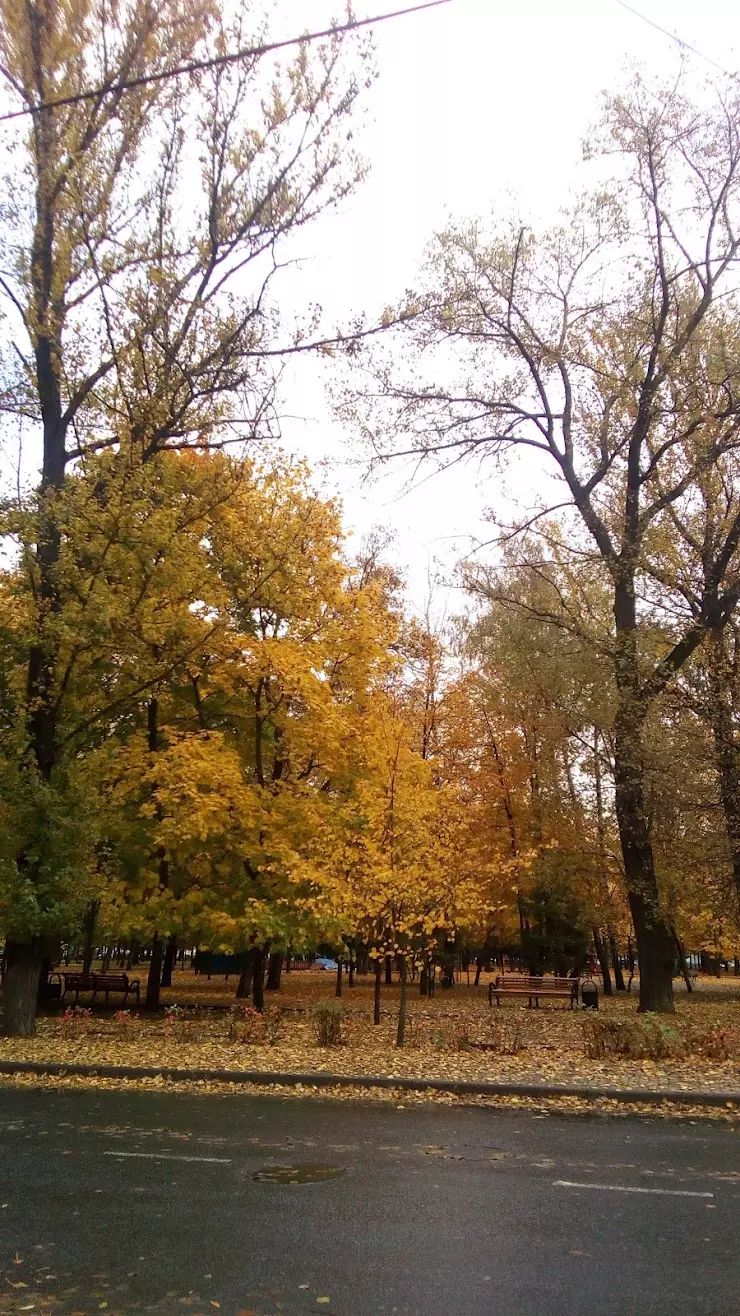 Спаркголд в Курске, ул. Димитрова, 76, 215 Офис, 2 Этаж - фото, отзывы  2024, рейтинг, телефон и адрес