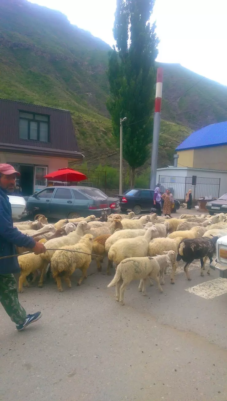 Родильное Отделение Центральной Районной Больницы в Хебде - фото, отзывы  2024, рейтинг, телефон и адрес