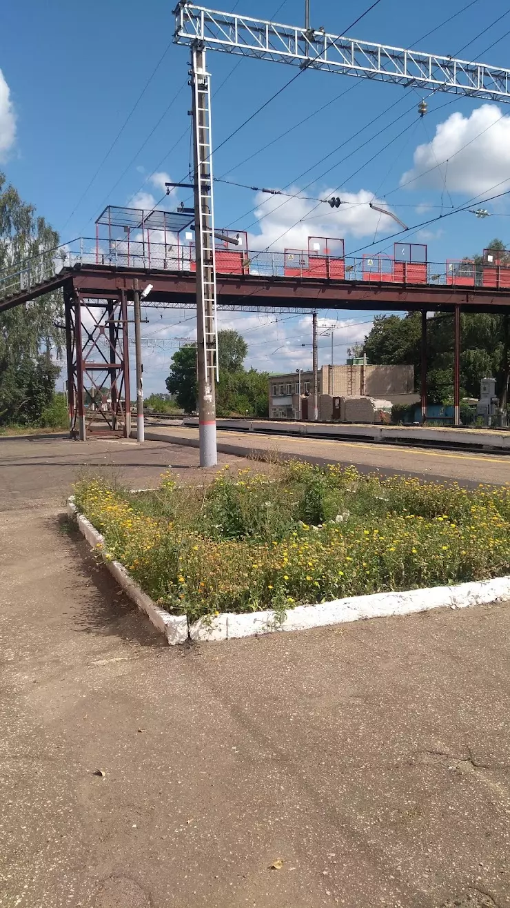 Недвижимость и строительство в Лунино, отзывы и рейтинги посетителей,  фотографии, контактная информация 2024