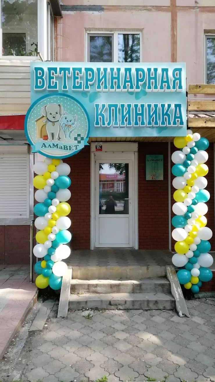 Ветеринарная клиника 