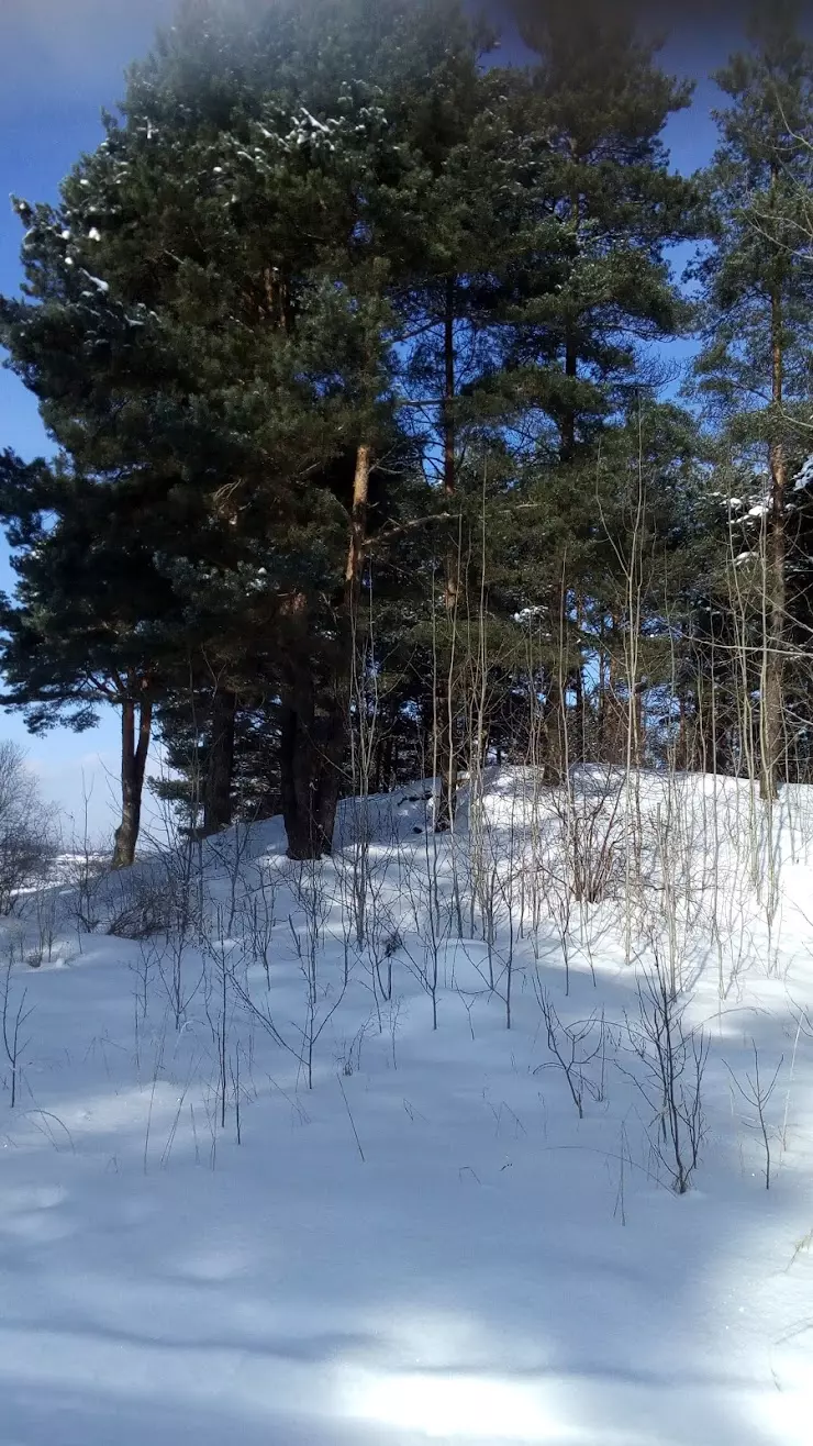 Церковь Пантелеимона Целителя в Пскове, ул. Советской Армии, 117 - фото,  отзывы 2024, рейтинг, телефон и адрес