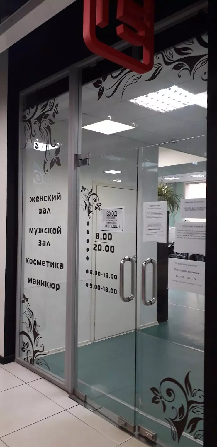 Соло в Череповце, ТДК 