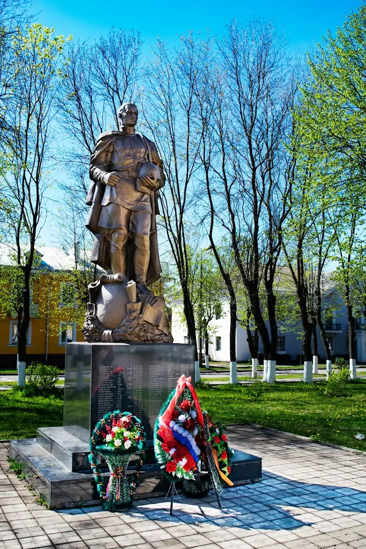 ДК им Воровского в Новосокольниках, 11,, Партизанская ул., 11 - фото,  отзывы 2024, рейтинг, телефон и адрес