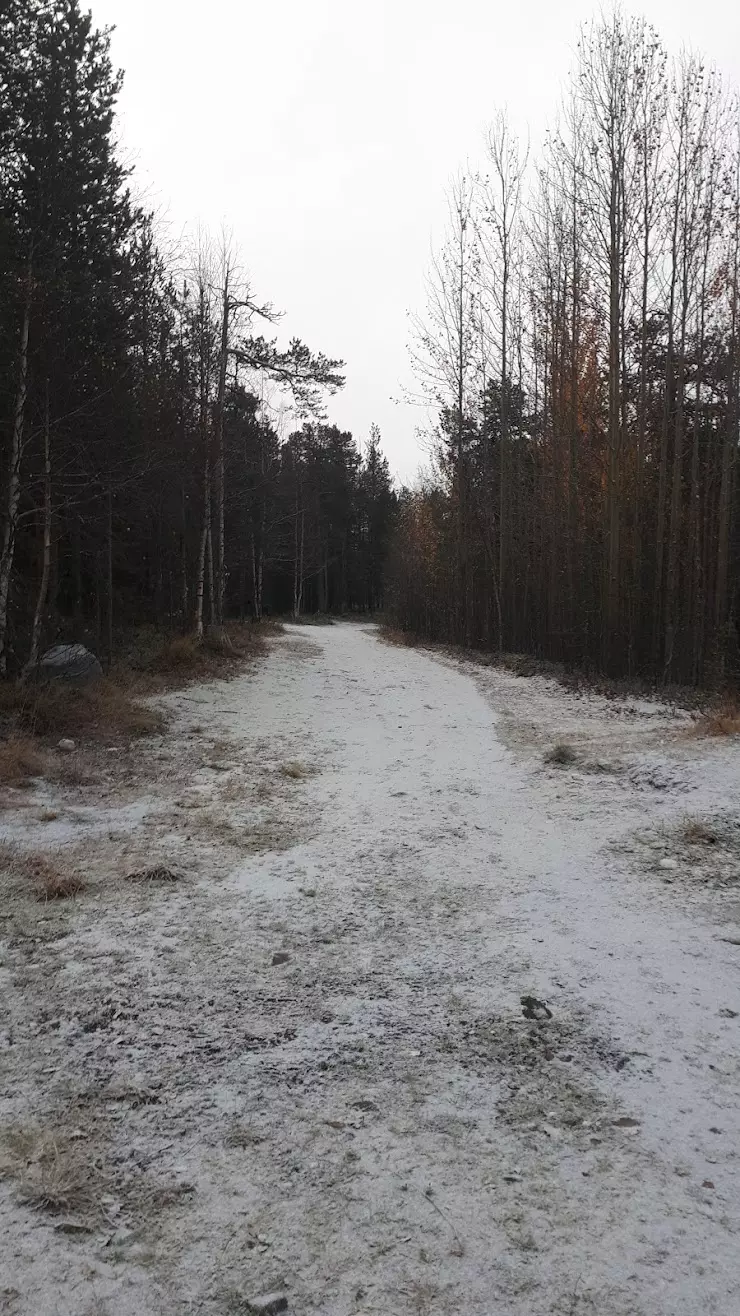 Ковдорский горно-обогатительный Комбинат в Ковдоре, ул. А. И, ул. Сухачева,  5 - фото, отзывы 2024, рейтинг, телефон и адрес