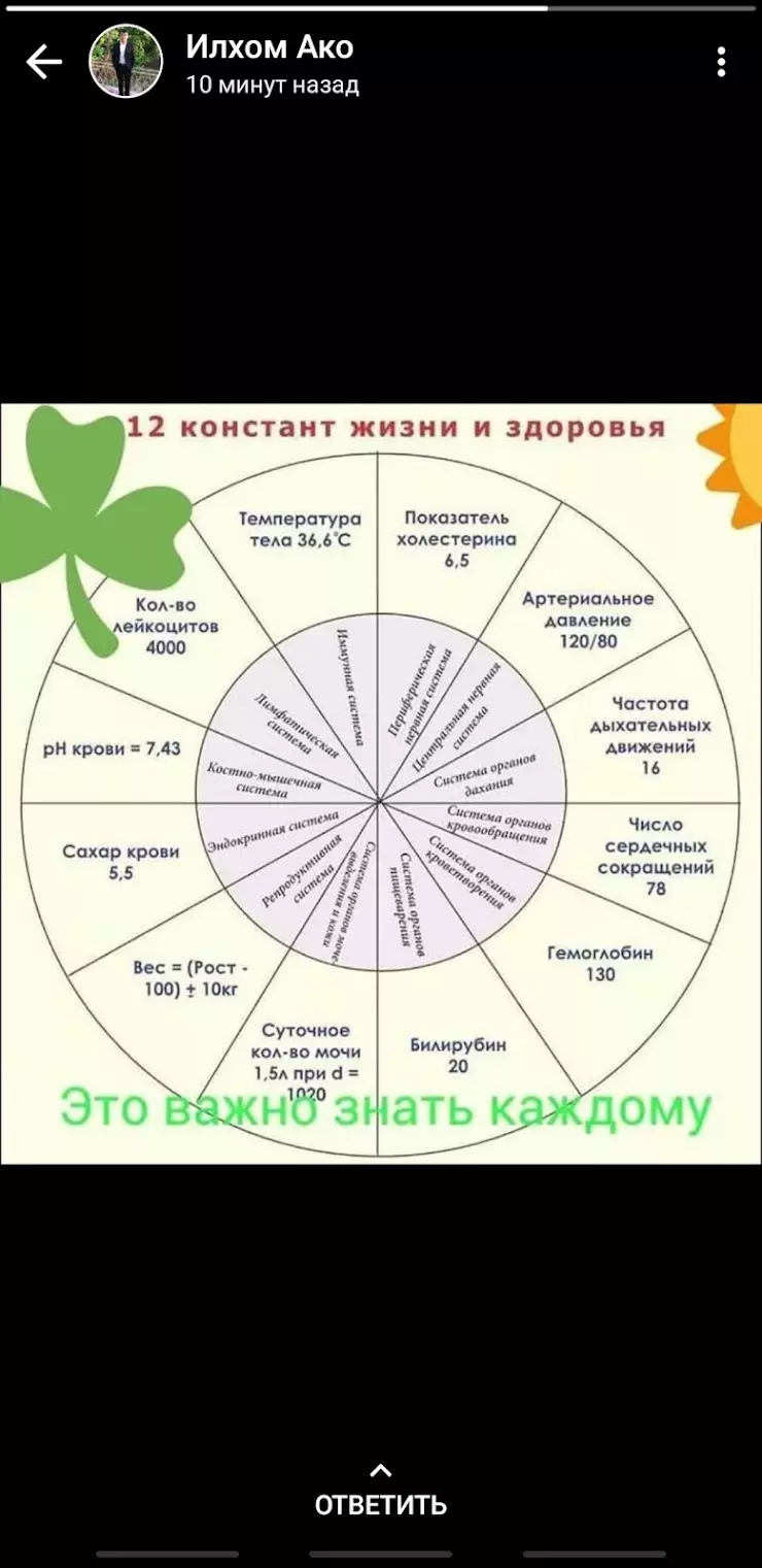 ВОСТОЧНОЕ КАФЕ в Хабаровске, ул. Панфиловцев, 31Б - фото, отзывы 2024,  рейтинг, телефон и адрес