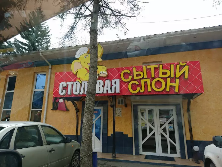 Сытый слон пятигорск