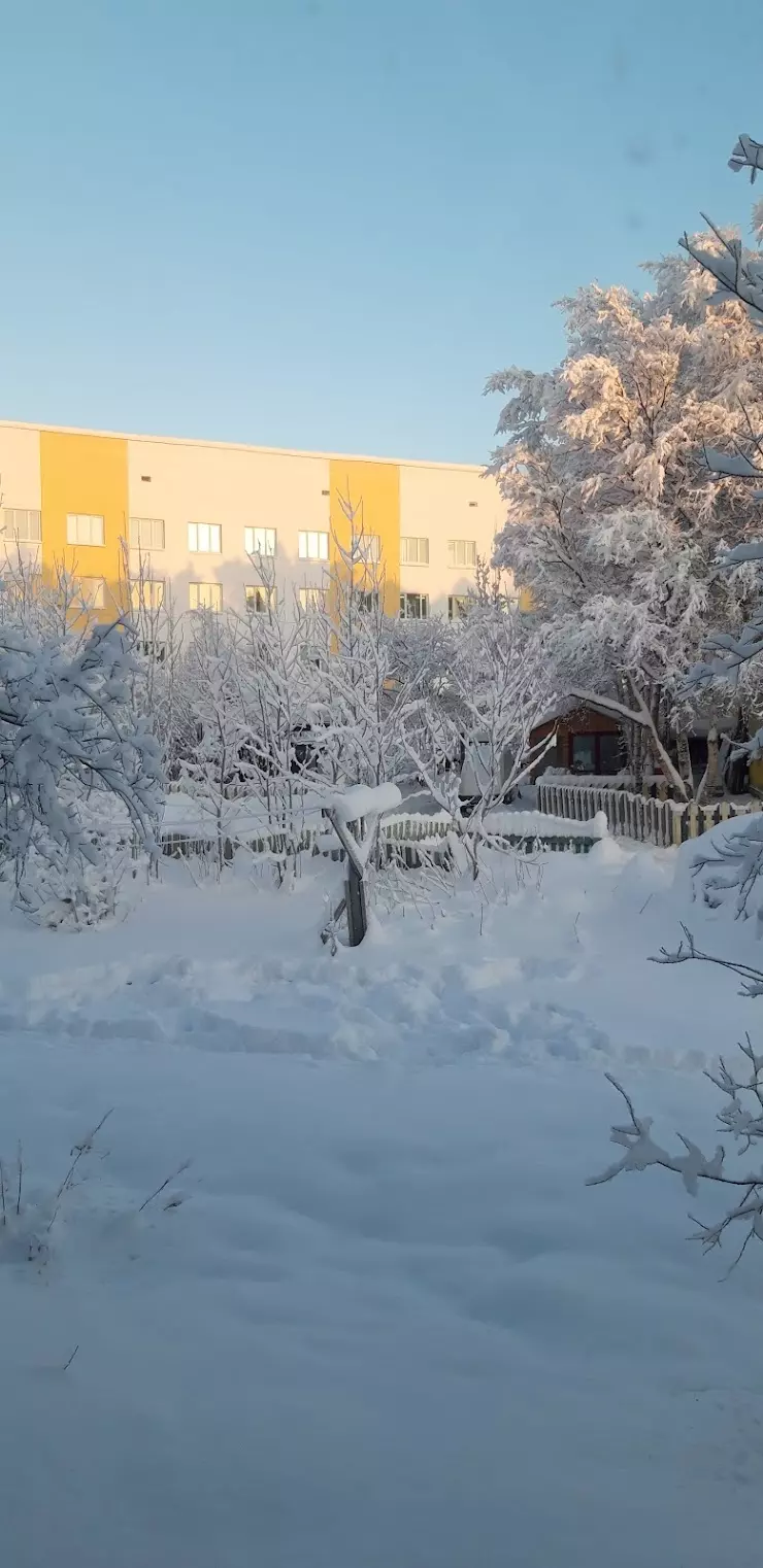 Городская поликлиника № 2 в Мурманске, просп. Кольский, 149А - фото, отзывы  2024, рейтинг, телефон и адрес